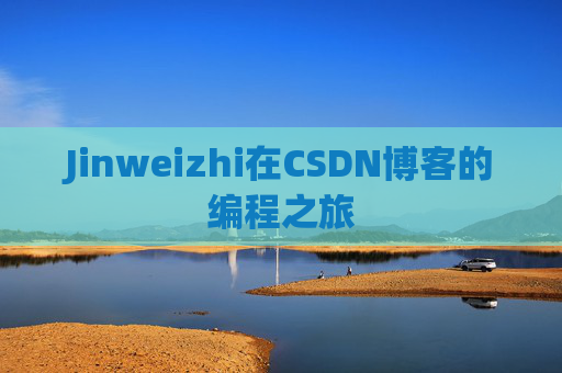 Jinweizhi在CSDN博客的编程之旅